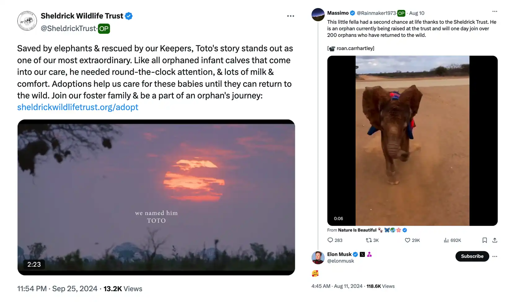 میم مارکیٹ کے رجحانات: سولانا نے چڑیا گھر کا جنون شروع کر دیا، ایتھریم نے روبوٹ جھگڑا شروع کر دیا۔