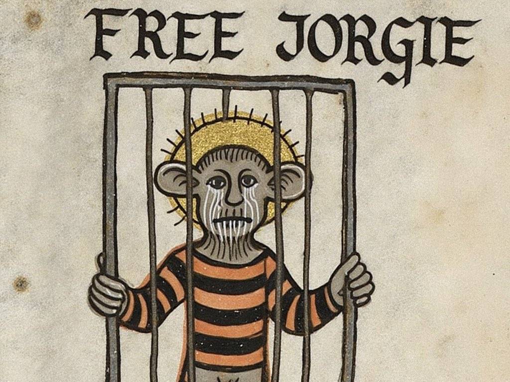 PNUT promotes the animal rescue narrative, Jorgie and the eagle become the new favorite memes