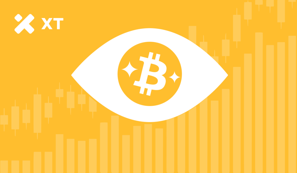 2024 Cryptocurrency Trends: A Review of Major Cryptocurrency Events of the Year