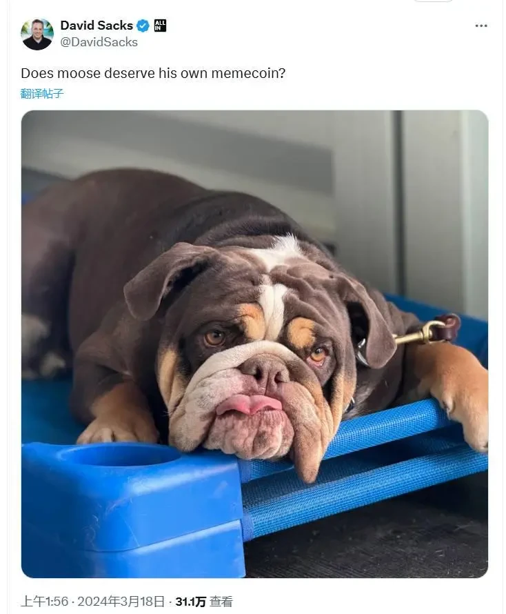 As Trump is about to take office, which new government-related concept coins are worth ambush?