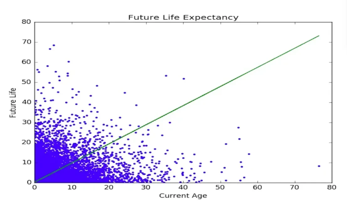 The IMF Didn’t Kill Bitcoin