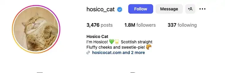 Bonk ecosystem is recovering, here are five potential targets worth paying attention to