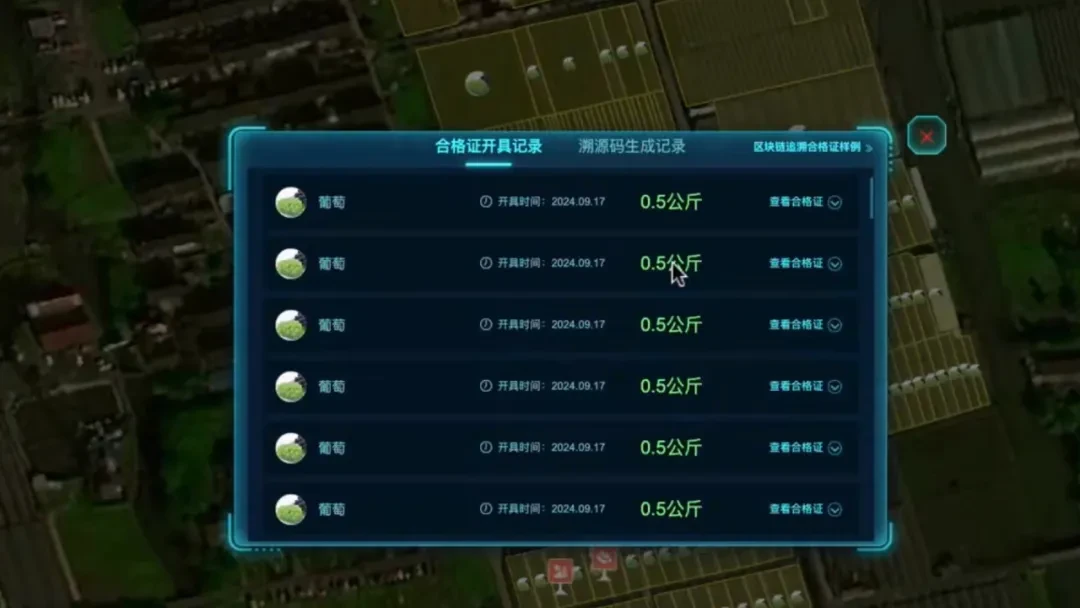 The emergence of the pseudo RWA of Malu grapes: a dilemma of agricultural asset digitization under the compromise of loc