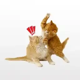 Official platforms emerge, what concepts are being hyped in the post-Pump era?