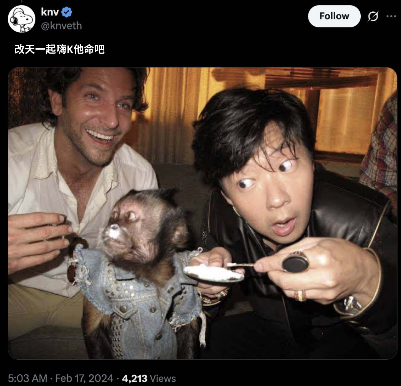 Moonbirds' rise, fall, and rebirthRecommended Articles