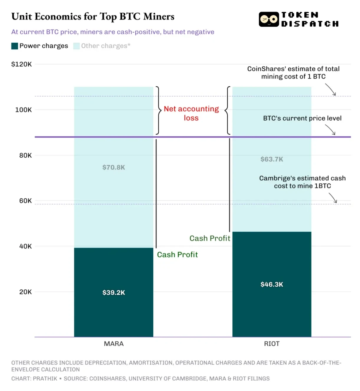 Miners Amidst the Bitcoin Crash: Who's Profiting? Who's Holding On?