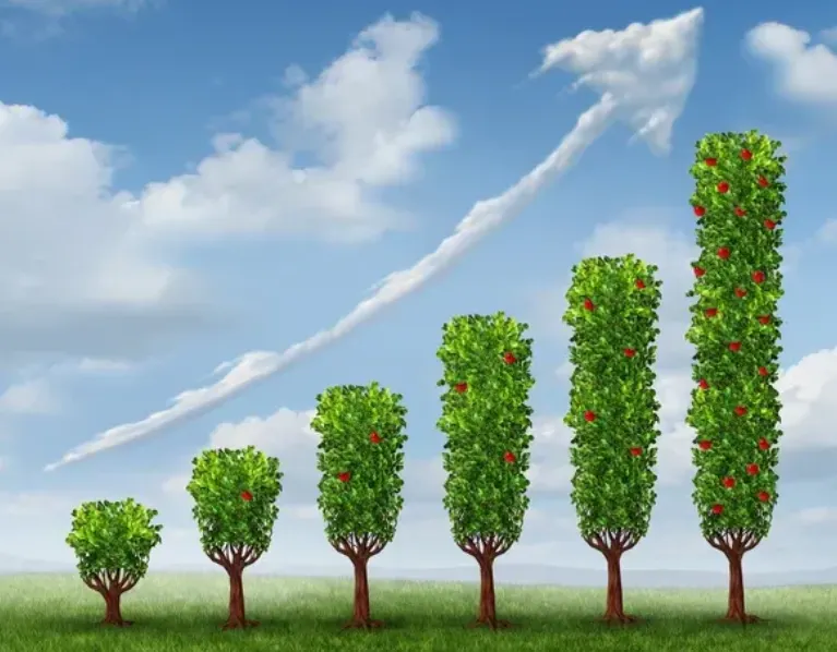 A Complete Guide for Crypto KOLs Starting an Account on X: From Profile Optimization to Ranking Strategies