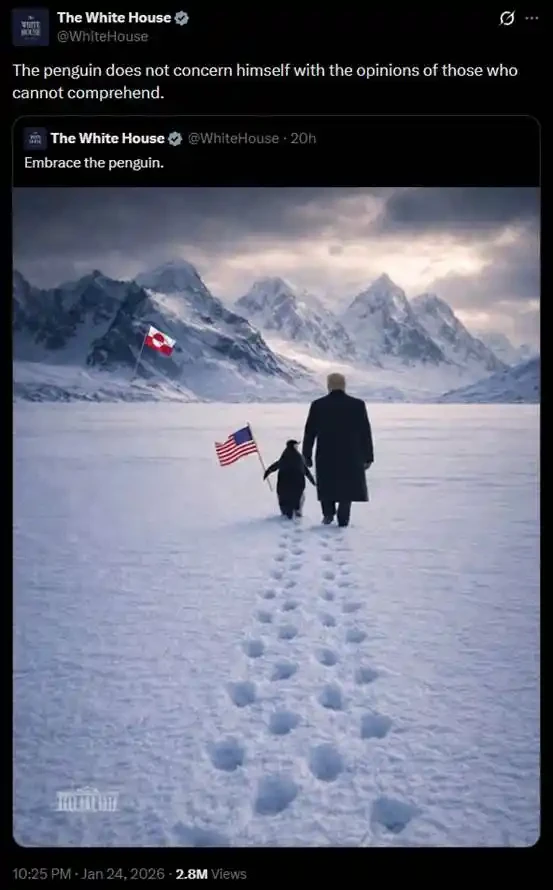 عملة البطريق نيتشه ترتفع 6000 مرة في أسبوع، هل تستعيد عملة سولانا ميمي مجدها؟