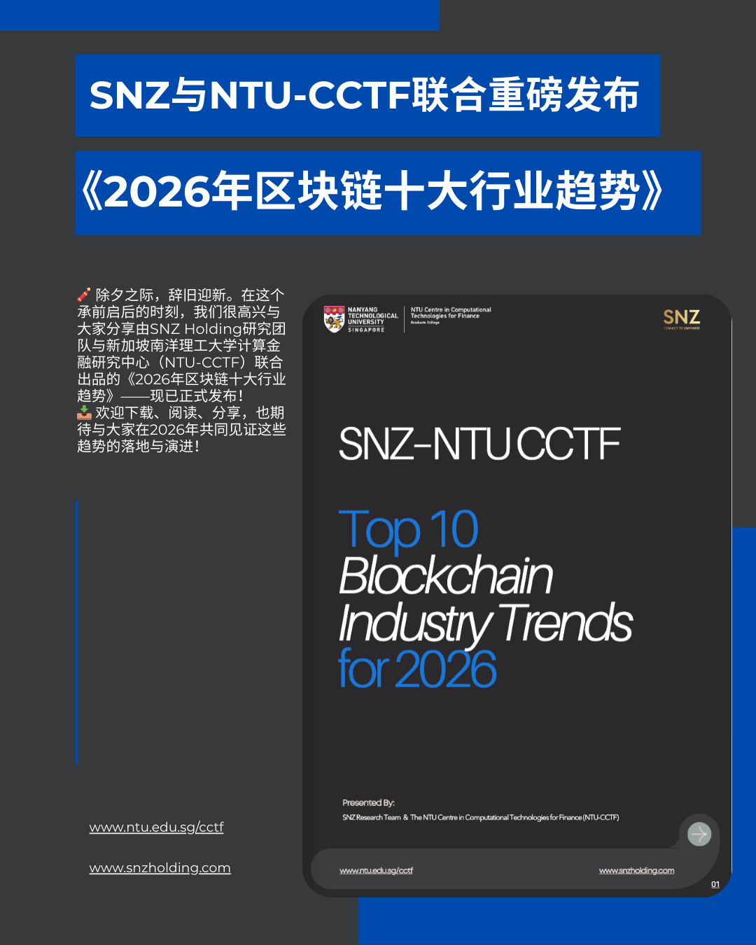 SNZ-NTU CCTF Releases 