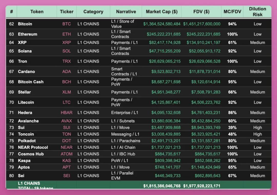 Navigating the Bear Market: A Guide to Identifying True 