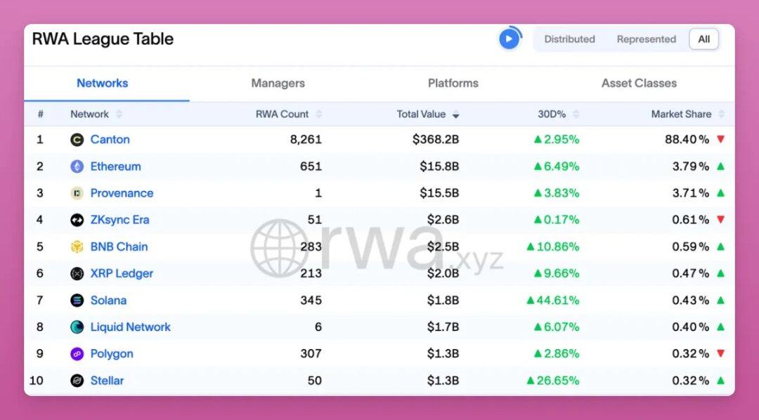Navigating the Bear Market: A Guide to Identifying True 