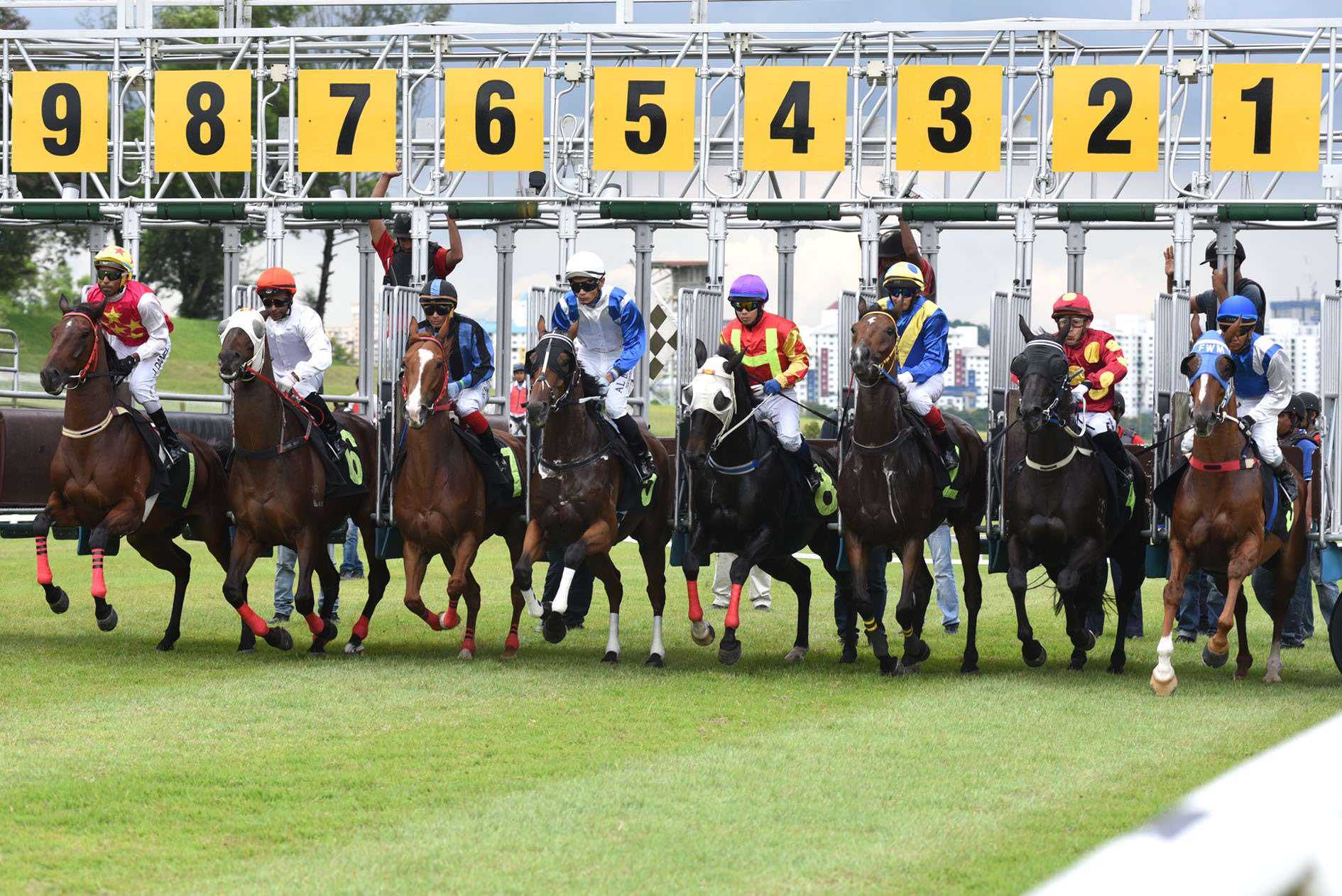 Hiring 22 Agents to Race on Hyperliquid, What Did I Discover? (Full Strategy Code Included)